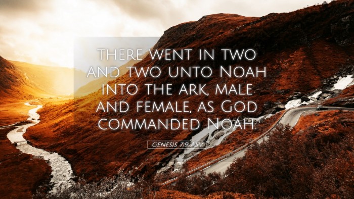 Picture 05 - Genesis 7:9 ASV Desktop Wallpaper - there went in two and two unto Noah into the ark, - Desktop Bible Verse Wallpaper