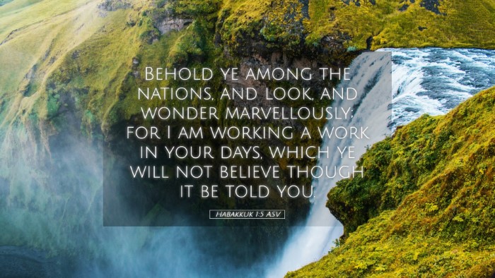 Picture 05 - Habakkuk 1:5 ASV Desktop Wallpaper - Behold ye among the nations, and look, and wonder - Desktop Bible Verse Wallpaper