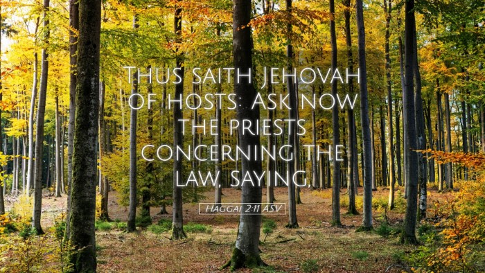 Picture 05 - Haggai 2:11 ASV Desktop Wallpaper - Thus saith Jehovah of hosts: Ask now the priests - Desktop Bible Verse Wallpaper