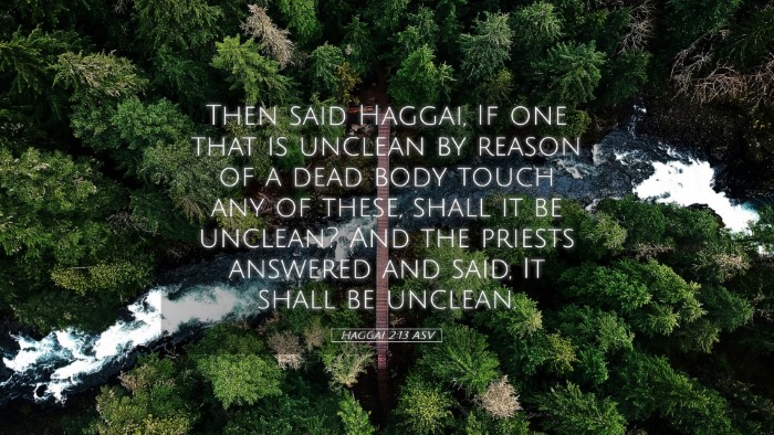 Picture 05 - Haggai 2:13 ASV Desktop Wallpaper - Then said Haggai, If one that is unclean by - Desktop Bible Verse Wallpaper