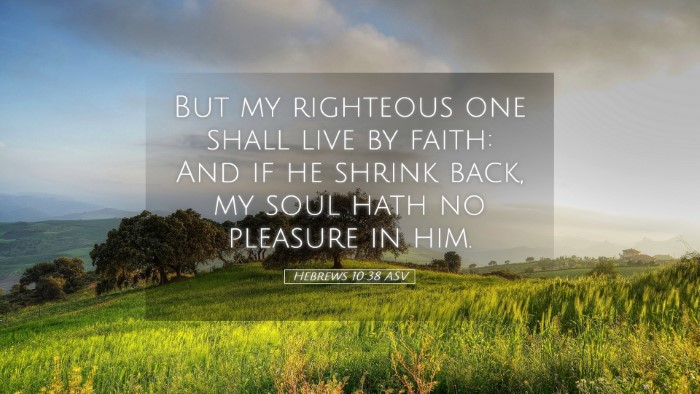 Picture 05 - Hebrews 10:38 ASV Desktop Wallpaper - But my righteous one shall live by faith: And if - Desktop Bible Verse Wallpaper