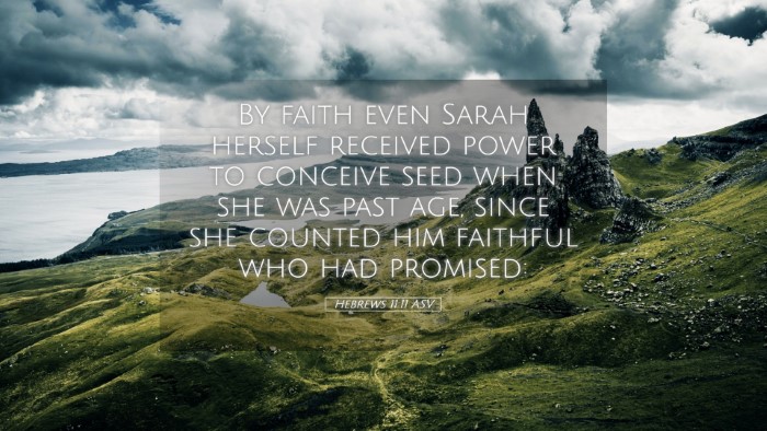 Picture 05 - Hebrews 11:11 ASV Desktop Wallpaper - By faith even Sarah herself received power to - Desktop Bible Verse Wallpaper