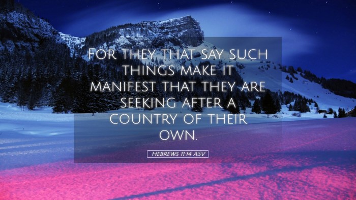 Picture 05 - Hebrews 11:14 ASV Desktop Wallpaper - For they that say such things make it manifest - Desktop Bible Verse Wallpaper