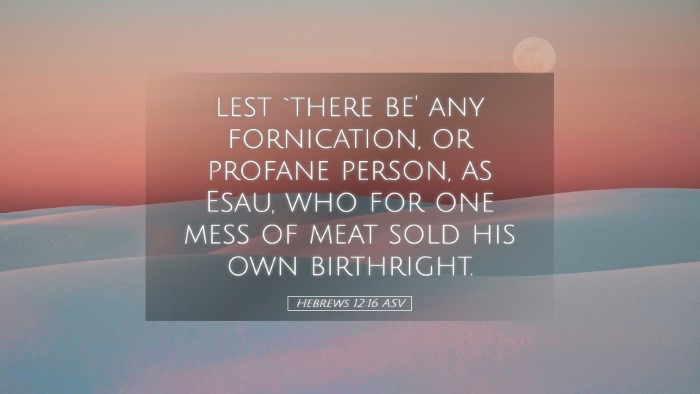 Picture 05 - Hebrews 12:16 ASV Desktop Wallpaper - lest `there be' any fornication, or profane - Desktop Bible Verse Wallpaper