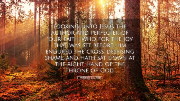Picture 05 - Hebrews 12:2 ASV Desktop Wallpaper - looking unto Jesus the author and perfecter of - Desktop Bible Verse Wallpaper