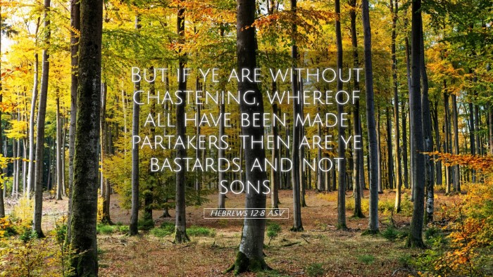 Picture 05 - Hebrews 12:8 ASV Desktop Wallpaper - But if ye are without chastening, whereof all - Desktop Bible Verse Wallpaper