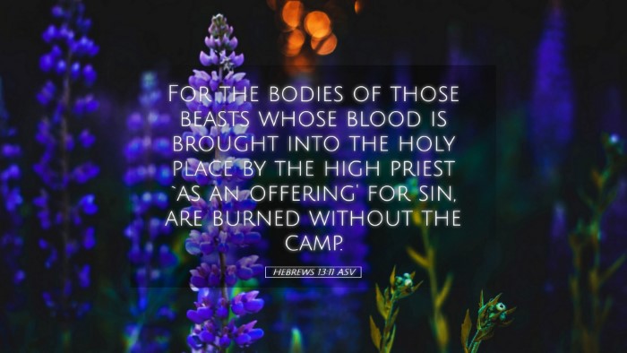 Picture 05 - Hebrews 13:11 ASV Desktop Wallpaper - For the bodies of those beasts whose blood is - Desktop Bible Verse Wallpaper