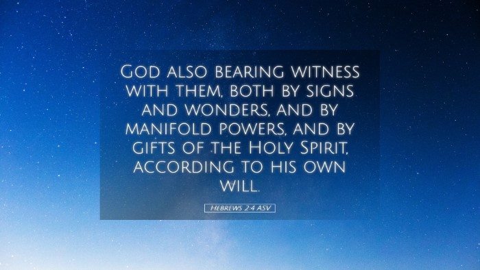 Picture 05 - Hebrews 2:4 ASV Desktop Wallpaper - God also bearing witness with them, both by signs - Desktop Bible Verse Wallpaper