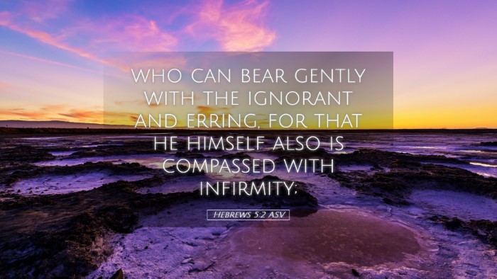 Picture 05 - Hebrews 5:2 ASV Desktop Wallpaper - who can bear gently with the ignorant and erring, - Desktop Bible Verse Wallpaper