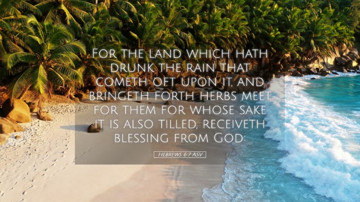 Picture 05 - Hebrews 6:7 ASV Desktop Wallpaper - For the land which hath drunk the rain that - Desktop Bible Verse Wallpaper