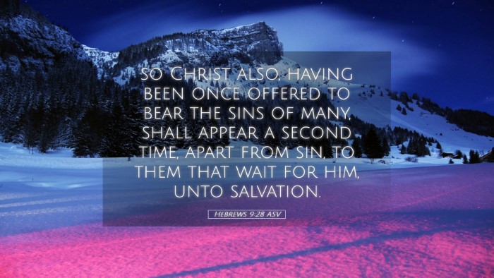 Picture 05 - Hebrews 9:28 ASV Desktop Wallpaper - so Christ also, having been once offered to bear - Desktop Bible Verse Wallpaper