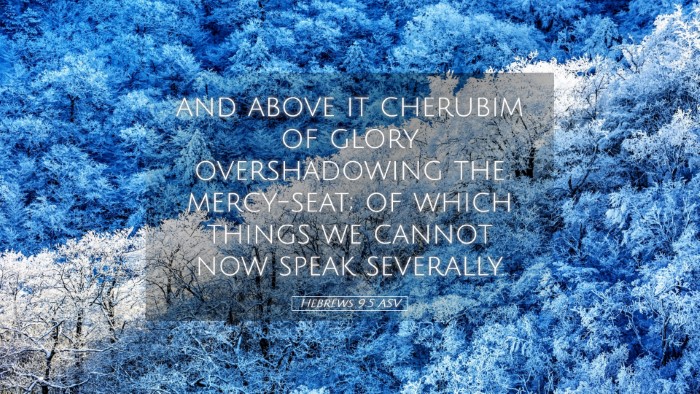 Picture 05 - Hebrews 9:5 ASV Desktop Wallpaper - and above it cherubim of glory overshadowing the - Desktop Bible Verse Wallpaper