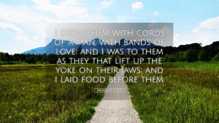 Picture 05 - Hosea 11:4 ASV Desktop Wallpaper - I drew them with cords of a man, with bands of - Desktop Bible Verse Wallpaper