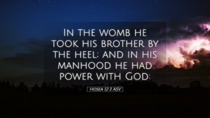 Picture 05 - Hosea 12:3 ASV Desktop Wallpaper - In the womb he took his brother by the heel; and - Desktop Bible Verse Wallpaper