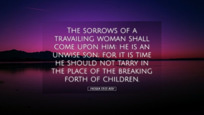 Picture 05 - Hosea 13:13 ASV Desktop Wallpaper - The sorrows of a travailing woman shall come upon - Desktop Bible Verse Wallpaper