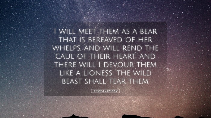 Picture 05 - Hosea 13:8 ASV Desktop Wallpaper - I will meet them as a bear that is bereaved of - Desktop Bible Verse Wallpaper