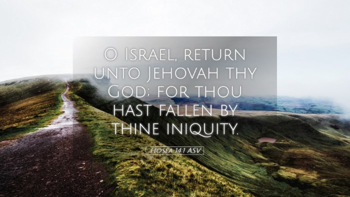 Picture 05 - Hosea 14:1 ASV Desktop Wallpaper - O Israel, return unto Jehovah thy God; for thou - Desktop Bible Verse Wallpaper