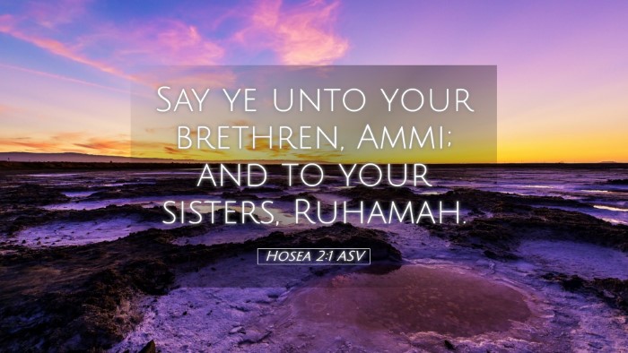 Picture 05 - Hosea 2:1 ASV Desktop Wallpaper - Say ye unto your brethren, Ammi; and to your - Desktop Bible Verse Wallpaper