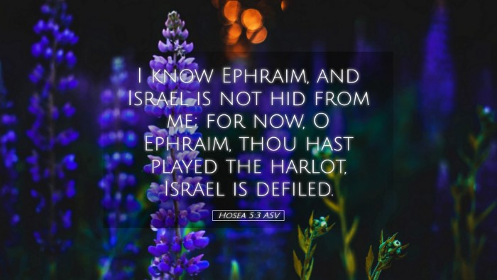 Picture 05 - Hosea 5:3 ASV Desktop Wallpaper - I know Ephraim, and Israel is not hid from me; - Desktop Bible Verse Wallpaper