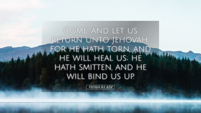 Picture 05 - Hosea 6:1 ASV Desktop Wallpaper - Come, and let us return unto Jehovah; for he hath - Desktop Bible Verse Wallpaper