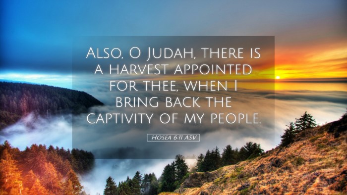 Picture 05 - Hosea 6:11 ASV Desktop Wallpaper - Also, O Judah, there is a harvest appointed for - Desktop Bible Verse Wallpaper