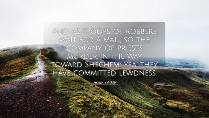 Picture 05 - Hosea 6:9 ASV Desktop Wallpaper - And as troops of robbers wait for a man, so the - Desktop Bible Verse Wallpaper