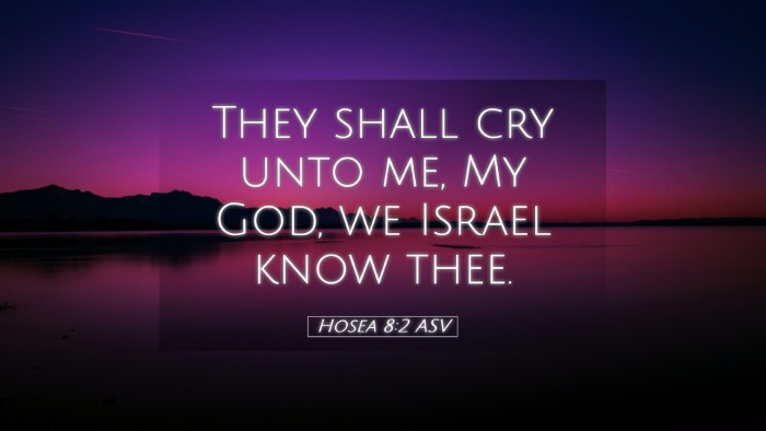 Picture 05 - Hosea 8:2 ASV Desktop Wallpaper - They shall cry unto me, My God, we Israel know - Desktop Bible Verse Wallpaper