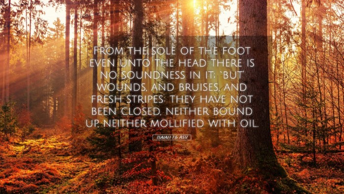 Picture 05 - Isaiah 1:6 ASV Desktop Wallpaper - From the sole of the foot even unto the head - Desktop Bible Verse Wallpaper