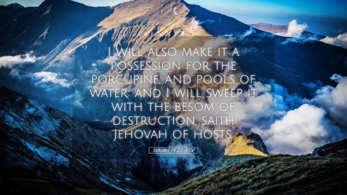 Picture 05 - Isaiah 14:23 ASV Desktop Wallpaper - I will also make it a possession for the - Desktop Bible Verse Wallpaper
