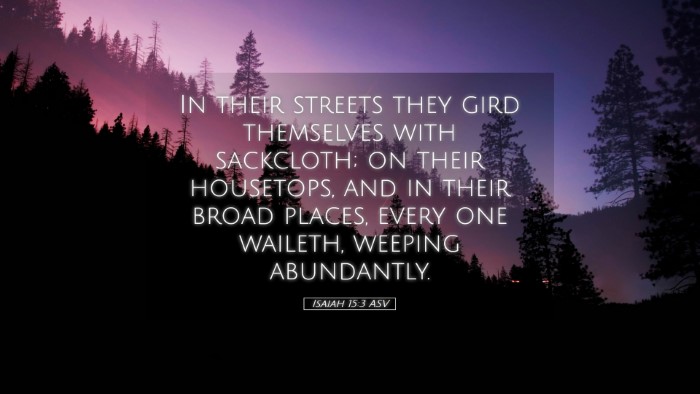 Picture 05 - Isaiah 15:3 ASV Desktop Wallpaper - In their streets they gird themselves with - Desktop Bible Verse Wallpaper