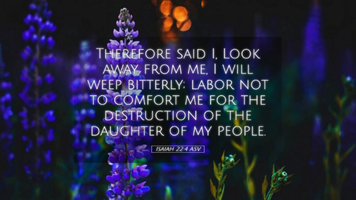 Picture 05 - Isaiah 22:4 ASV Desktop Wallpaper - Therefore said I, Look away from me, I will weep - Desktop Bible Verse Wallpaper