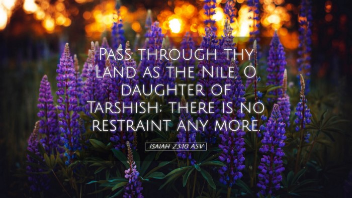Picture 05 - Isaiah 23:10 ASV Desktop Wallpaper - Pass through thy land as the Nile, O daughter of - Desktop Bible Verse Wallpaper