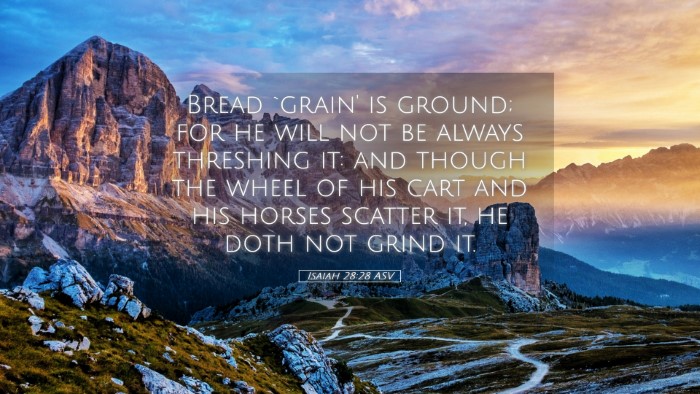 Picture 05 - Isaiah 28:28 ASV Desktop Wallpaper - Bread `grain' is ground; for he will not be - Desktop Bible Verse Wallpaper
