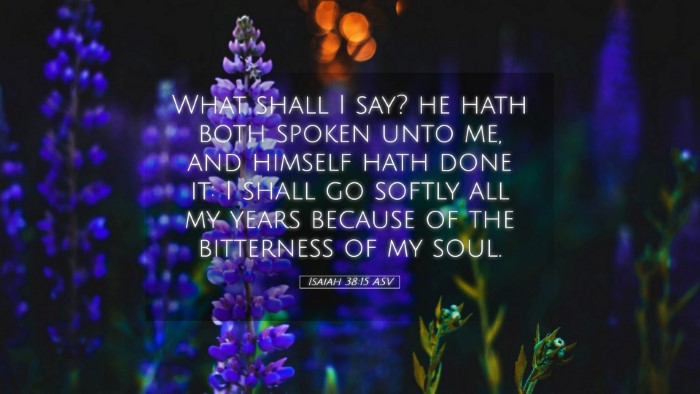 Picture 05 - Isaiah 38:15 ASV Desktop Wallpaper - What shall I say? he hath both spoken unto me, - Desktop Bible Verse Wallpaper