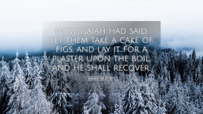 Picture 05 - Isaiah 38:21 ASV Desktop Wallpaper - Now Isaiah had said, Let them take a cake of - Desktop Bible Verse Wallpaper