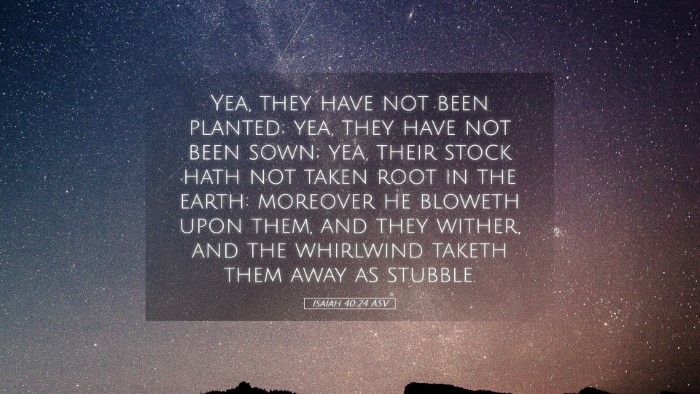 Picture 05 - Isaiah 40:24 ASV Desktop Wallpaper - Yea, they have not been planted; yea, they have - Desktop Bible Verse Wallpaper