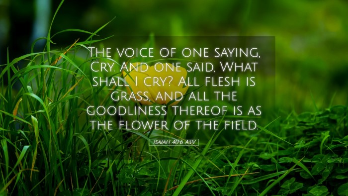 Picture 05 - Isaiah 40:6 ASV Desktop Wallpaper - The voice of one saying, Cry. And one said, What - Desktop Bible Verse Wallpaper