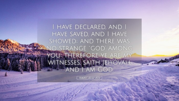 Picture 05 - Isaiah 43:12 ASV Desktop Wallpaper - I have declared, and I have saved, and I have - Desktop Bible Verse Wallpaper