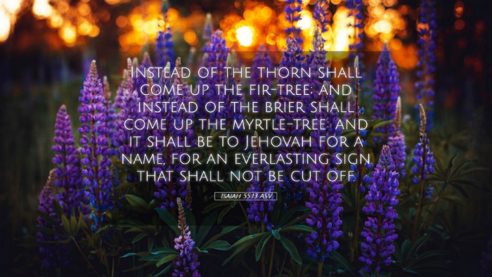 Picture 05 - Isaiah 55:13 ASV Desktop Wallpaper - Instead of the thorn shall come up the fir-tree; - Desktop Bible Verse Wallpaper