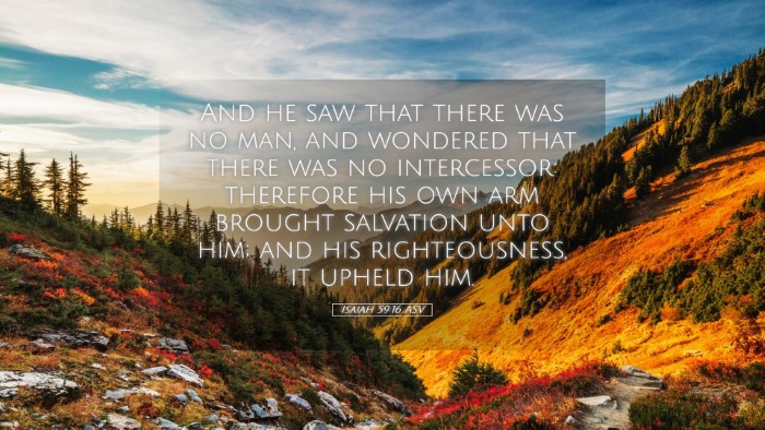 Picture 05 - Isaiah 59:16 ASV Desktop Wallpaper - And he saw that there was no man, and wondered - Desktop Bible Verse Wallpaper