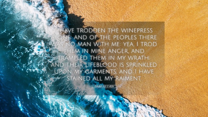 Picture 05 - Isaiah 63:3 ASV Desktop Wallpaper - I have trodden the winepress alone; and of the - Desktop Bible Verse Wallpaper