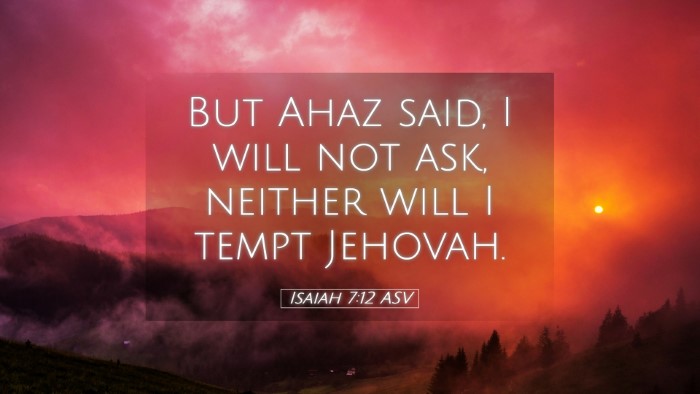 Picture 05 - Isaiah 7:12 ASV Desktop Wallpaper - But Ahaz said, I will not ask, neither will I - Desktop Bible Verse Wallpaper