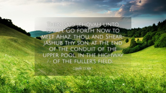 Picture 05 - Isaiah 7:3 ASV Desktop Wallpaper - Then said Jehovah unto Isaiah, Go forth now to - Desktop Bible Verse Wallpaper