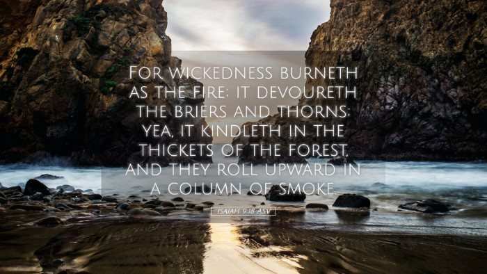 Picture 05 - Isaiah 9:18 ASV Desktop Wallpaper - For wickedness burneth as the fire; it devoureth - Desktop Bible Verse Wallpaper
