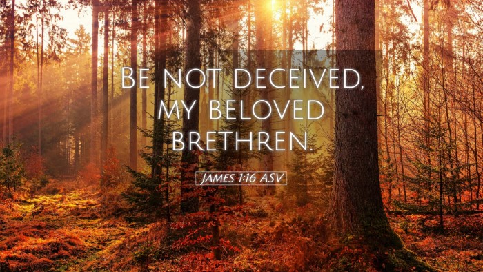 Picture 05 - James 1:16 ASV Desktop Wallpaper - Be not deceived, my beloved - Desktop Bible Verse Wallpaper