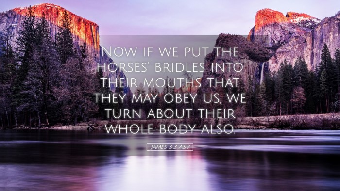 Picture 05 - James 3:3 ASV Desktop Wallpaper - Now if we put the horses' bridles into their - Desktop Bible Verse Wallpaper