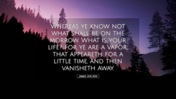 Picture 05 - James 4:14 ASV Desktop Wallpaper - whereas ye know not what shall be on the morrow. - Desktop Bible Verse Wallpaper