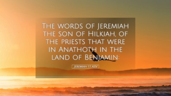 Picture 05 - Jeremiah 1:1 ASV Desktop Wallpaper - The words of Jeremiah the son of Hilkiah, of the - Desktop Bible Verse Wallpaper