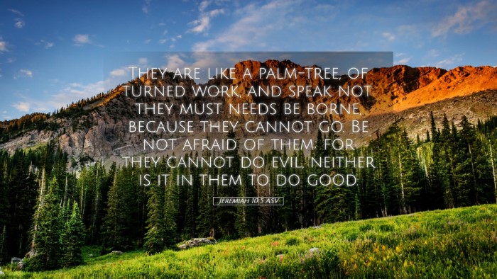 Picture 05 - Jeremiah 10:5 ASV Desktop Wallpaper - They are like a palm-tree, of turned work, and - Desktop Bible Verse Wallpaper