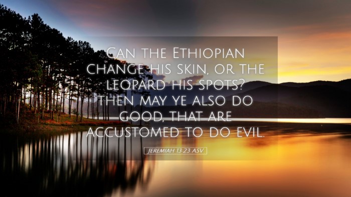 Picture 05 - Jeremiah 13:23 ASV Desktop Wallpaper - Can the Ethiopian change his skin, or the leopard - Desktop Bible Verse Wallpaper